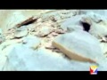 Paalum Pazhamum Kaikalil Eanthi Remix