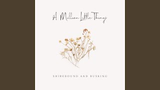 A Million Little Things