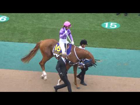 【オークス2026】今村聖奈騎手が女性騎手初のクラシック騎乗へ|ジュウリョクピエロ衝撃のパドック