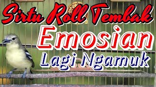 Download lagu Cipoh / Sirtu Ngamuk Nembak Ngerol Panjang Memanggil Lawan, Bikin Sirtu Lain Emosi Gacor mp3