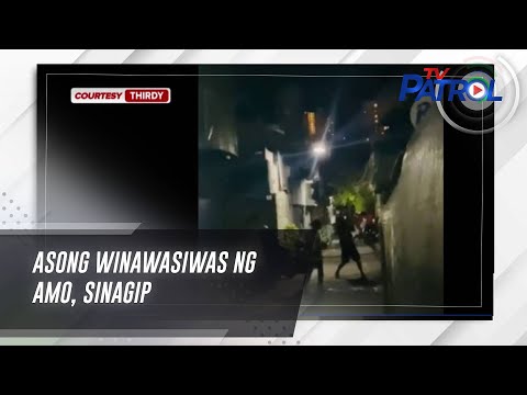 Asong winawasiwas ng amo, sinagip TV Patrol