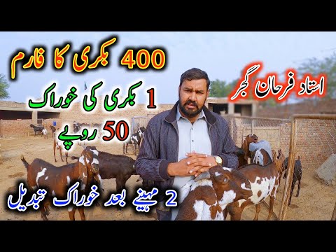 We Visited Goat Life Line Farm Samundri  - Goat Farm Of 400 Goats - Ustaad Farhan Gujjar