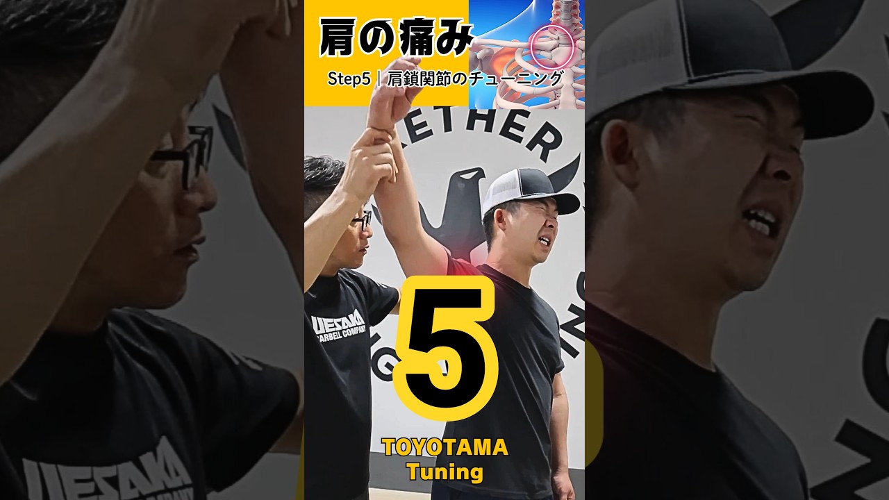 【肩の痛み】肩甲骨周囲筋のリバランス STEP5 #インピンジメント #モビリティ #リハビリ
