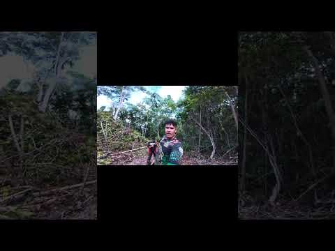 8ª trilha da montanha centro do Guilherme MA #motoroffroad #trilha #offroad