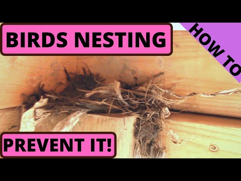 YouTube video about: How to keep birds from building nests on porch columns?