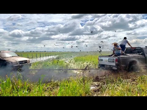 Viaturas offroad 4X4 e suas “modificações”! Mecânicas de algumas - Pantanal da Fazenda Guapé-2020-O5