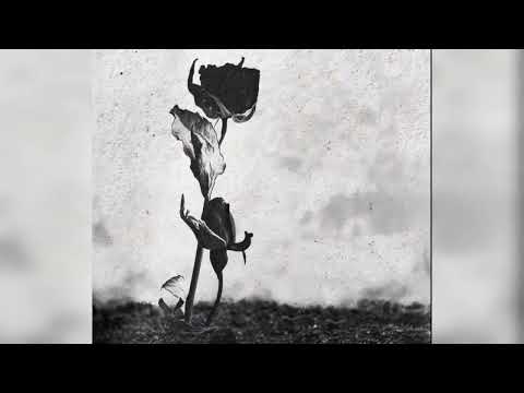 LXE, BALADJA feat. WZ beats - Я не забуду