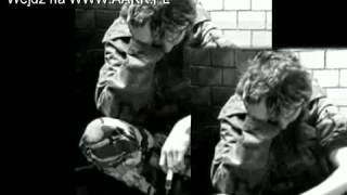 Myslovitz - Acidland