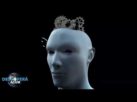 ADEVĂR sau MINCIUNĂ? Mituri despre creierul uman!