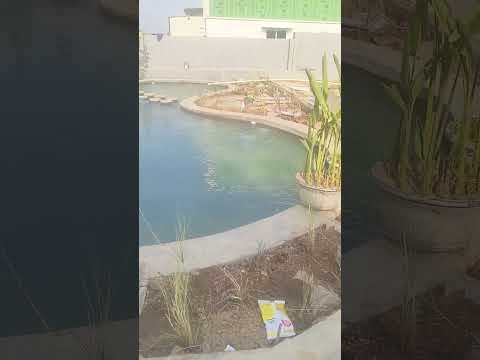 Natural Pond Constructions