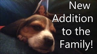 New Addition to the Family!: Vlogmas Day 23