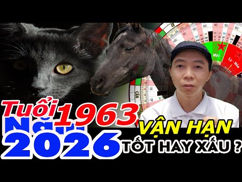 Xem Vận Hạn Tuổi Quý Mão 1963 năm 2026 RA SAO ?  Phong Thủy 100 Năm