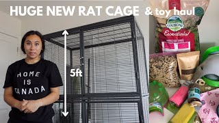 PET RAT HAUL & upgrading to a double critter nation rat cage