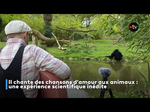 Il chante des chansons d'amour aux animaux : une expérience scientifique inédite