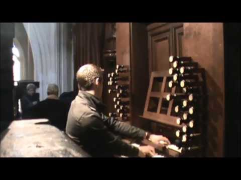 Psalm 43 vers 2 en 5  Sint Janskathedraal s'Hertogenbosch