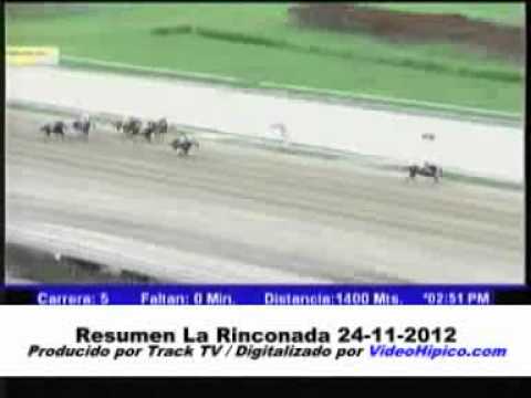 Resumen La Rinconada 24-11-2012