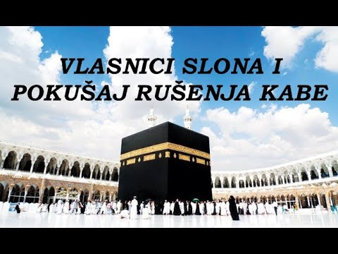 DOGAĐAJ SA VLASNICIMA SLONA I POKUŠAJ RUŠENJA KABE