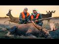 Ural Hunt Arab Sheikhs Royal Hunt In Russia 8K