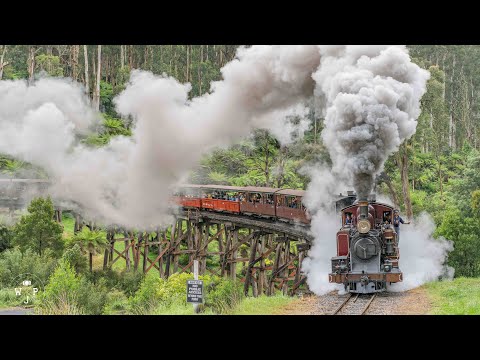 A Day at Puffing Billy Railway - 2021