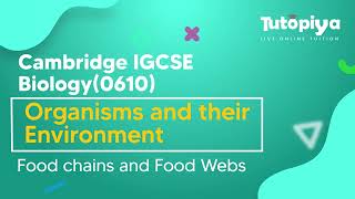 Food Chains and Food Web