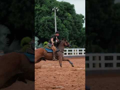 Vaquejada no Haras São Pedro - MA.