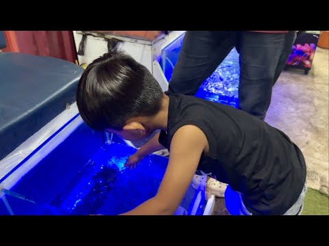 doctor fish ne mummy ki massaj ki  🫢