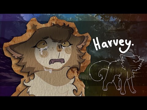harvey (warriors oc pmv)