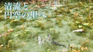 【関市】驚きの透明度！板取川を観光してみた／Sightseeing along the Itadori River with its amazing clarity