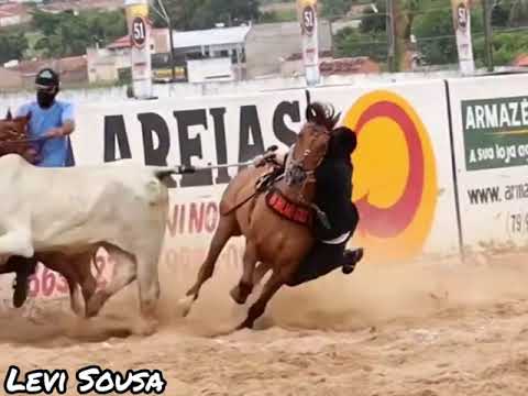 Lá de onde eu venho - Vinícius Nerez (status de vaquejada)