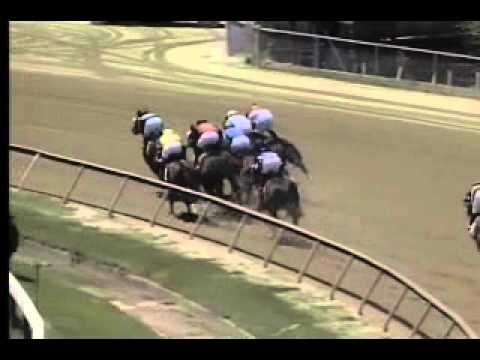 Pimlico 05/31/14 race 1