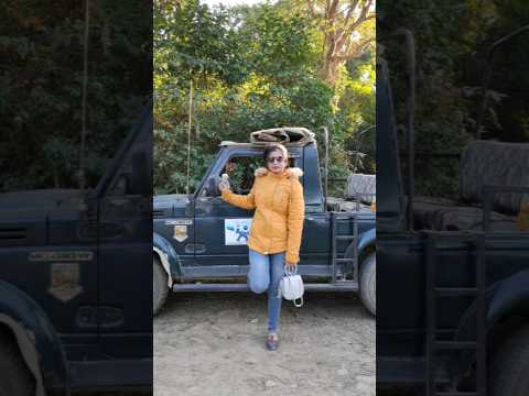 Kaziranga and Tezpur Travel #vlog