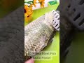 Best Stainless Steel Fish Scale Peeler Shorts