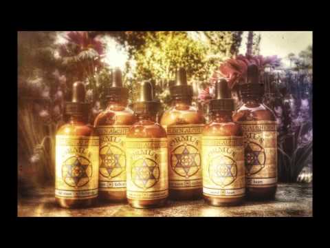 WinstonDubProject & Askata - Dub Game