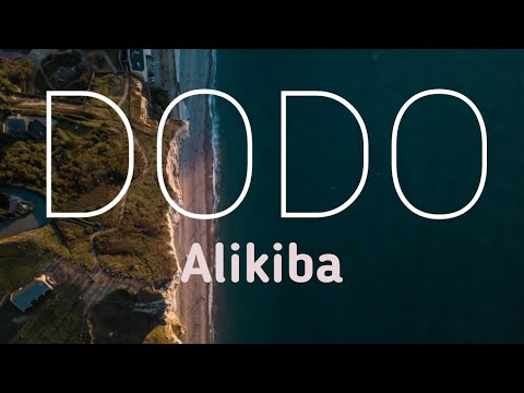 Alikiba-Dodo(lyric video)