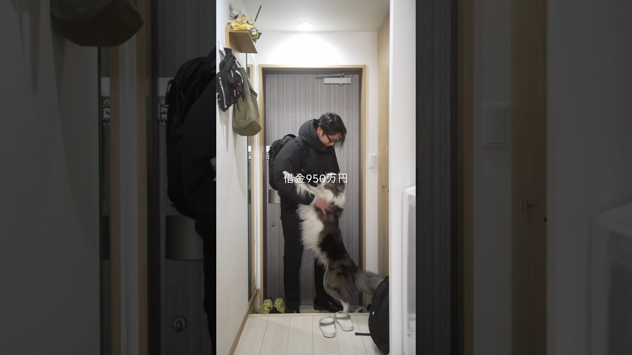 犬と二人暮らし30歳会社員