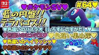 【♡Part64♡4K♡Nintendo Switch 2 俺のファンのコからのリクエスト配信】ポケットモンスター スカーレット ゼロの秘宝 藍の円盤をまったり巣ごもり生配信♡愛してる。