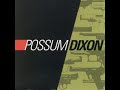 11 ◦ Possum Dixon - She Drives