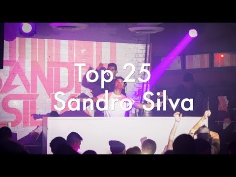 [Top 25] Best Sandro Silva Tracks [2017]