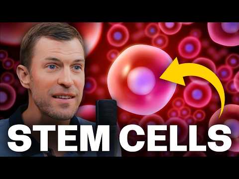 Boost Stem Cells in 24 Hours WITHOUT Injections