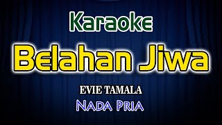 Download lagu Belahan Jiwa Karaoke Lirik Evie Tamala Nada Pria mp3