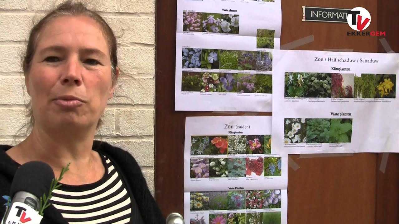 Groen verbindt - Onderwerpen - PublicSpaceInfo.nl