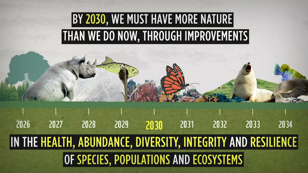 Nature Positive by 2030: the race is on!