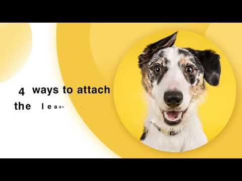 WINSEE Dog Harness No Pull, Pet Harnesses with Dog Collar, Adjustable Reflective Oxford Outdoor Vest
