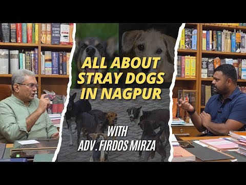 Vishay: All About Stray Dogs in Nagpur w/ Advocate Firdos Mirza | Bombay High Court Case since 2006 