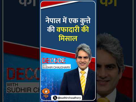 #Decode | नेपाल में एक कुत्ते की वफादारी की मिसाल | Sudhir Chaudhary | #Shorts