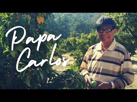 What an Ideal Grandpa Looks Like - krish kam