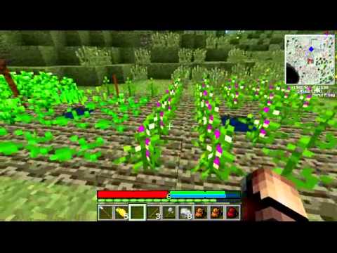 Let's Play TerraFirmaCraft - Episode 20