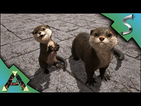 OTTER TAMING! WHERE TO FIND OTTERS ON RAGNAROK! OTTER BREEDING! - Ark: RAGNAROK [DLC Gameplay E53]