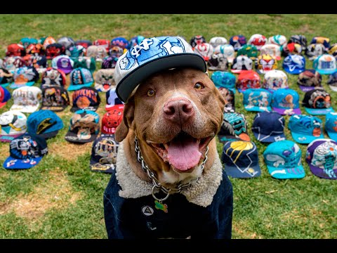 BASCA. Luis Carlos Ayala, IG: @luiscarlosa85