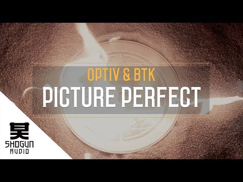 Optiv & BTK - Picture Perfect - Way Of The Warrior 2 LP - Shogun Audio
